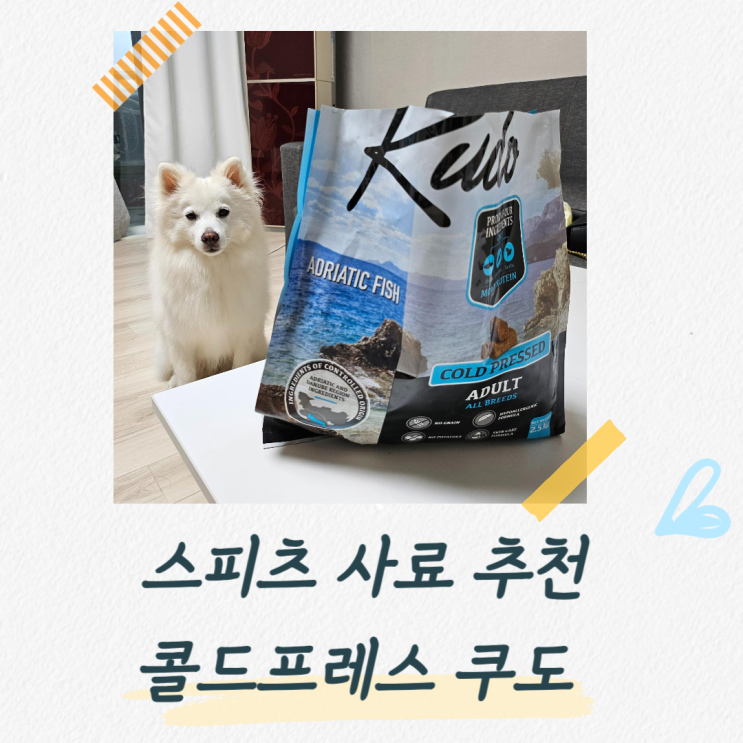  스피츠 사료 추천 콜드프레스 쿠도 그레인프리