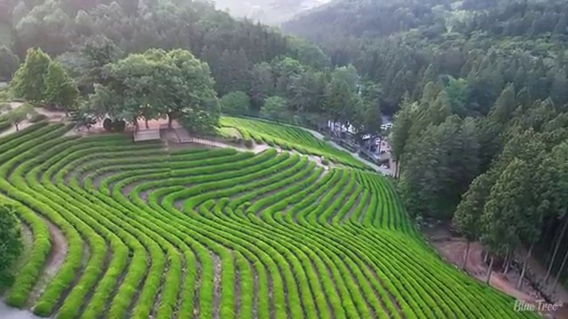  정보처리산업기사 시험 정보처리산업기사 응시조건 온라인 수업으로 5개월 만에 성공한 팁