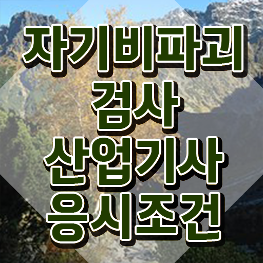  자기비파괴검사산업기사 취득자격 온라인 과정으로 15주만에 준비한 노하우