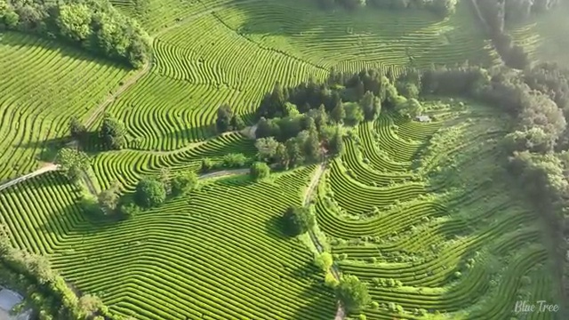  전주 웨딩박람회 , 결혼 준비 의 모든 것 , 웨딩박람회에서 정확하게 알아보는 노하우