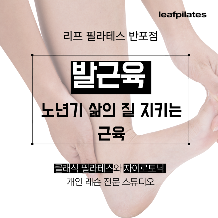  [반포 필라테스] 노년기 삶의 질을 좌우하는 발 근육/ 반포필라테스 리프