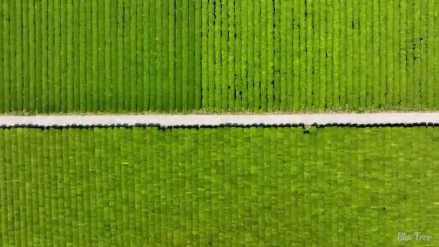  청주 2023 사회복지직 사회복지사2급 관련학과 아니어도 학은제 활용하여 손쉽게
