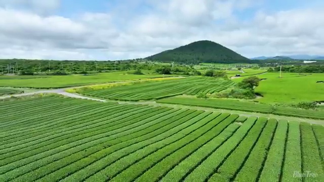  호텔경영학과 , 비전공 무경력자도 경영학 성공할 수 있어요
