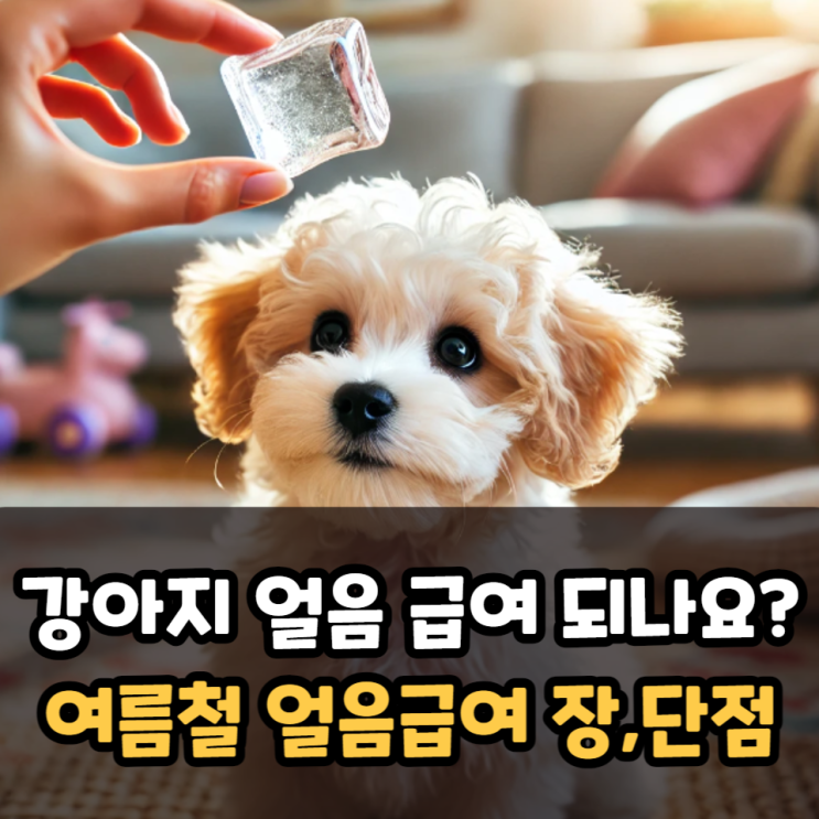  강아지 얼음 먹어도 되나요? 여름철 얼음급여 장, 단점