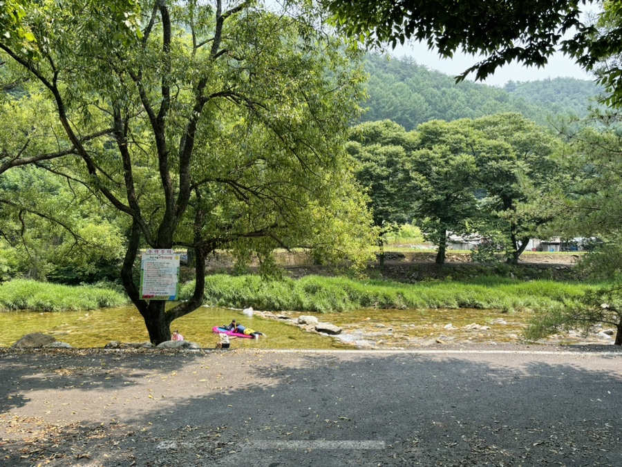 상우농장 야영장 사진 4