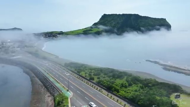  산림 산업기사 산림기사 응시자격 온라인으로 1학기에 끝낸 과정
