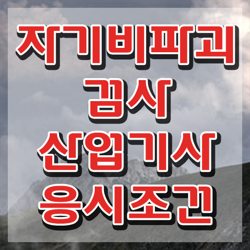 자기비파괴검사산업기사 응시자격 온라인 수업으로 4달만에 성공한 노하우