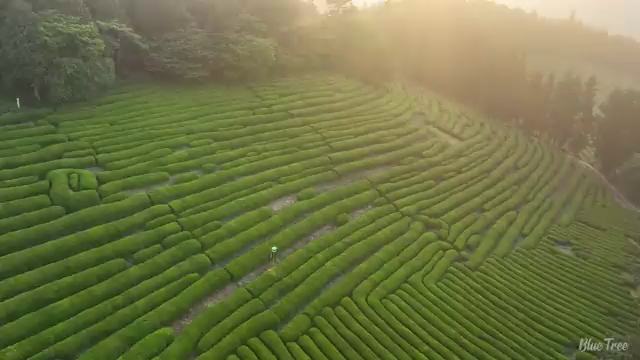 인터넷 요금 , 조건별 혜택 간편하게 비교해보세요