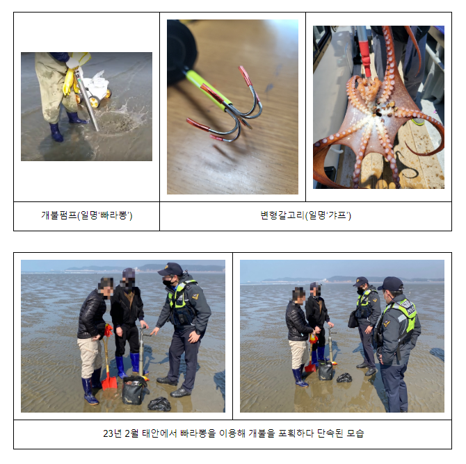 해양경찰청, 해루질 불법어구 온라인 판매 단속을 통해 건전한 해루질 문화조성에 나서 해양경찰청, 해루질 불법어구 온라인 판매 단속을 통해 건전한 해루질 문화조성에 나서
