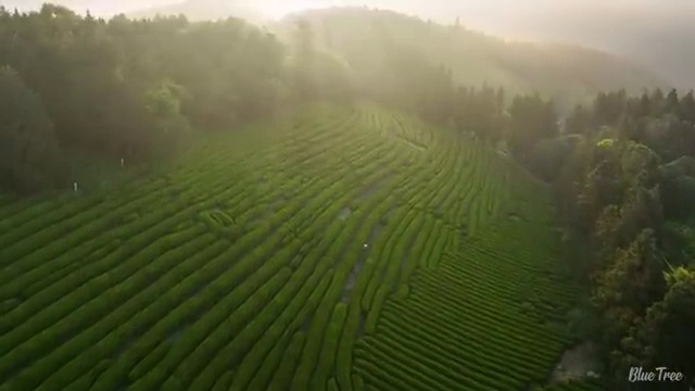  홈페이지견적 ! 바른웹을 선택하여 저렴하게 독립형 홈페이지로 만들어보자!