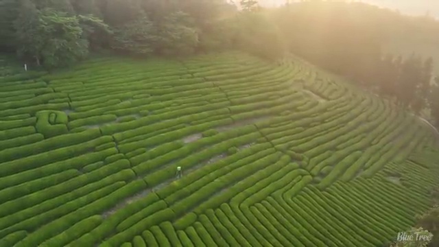  전남 사회복지자격증 . 사회복지사2급 관련학과 아니어도 학점은행제 인강으로 손쉽게