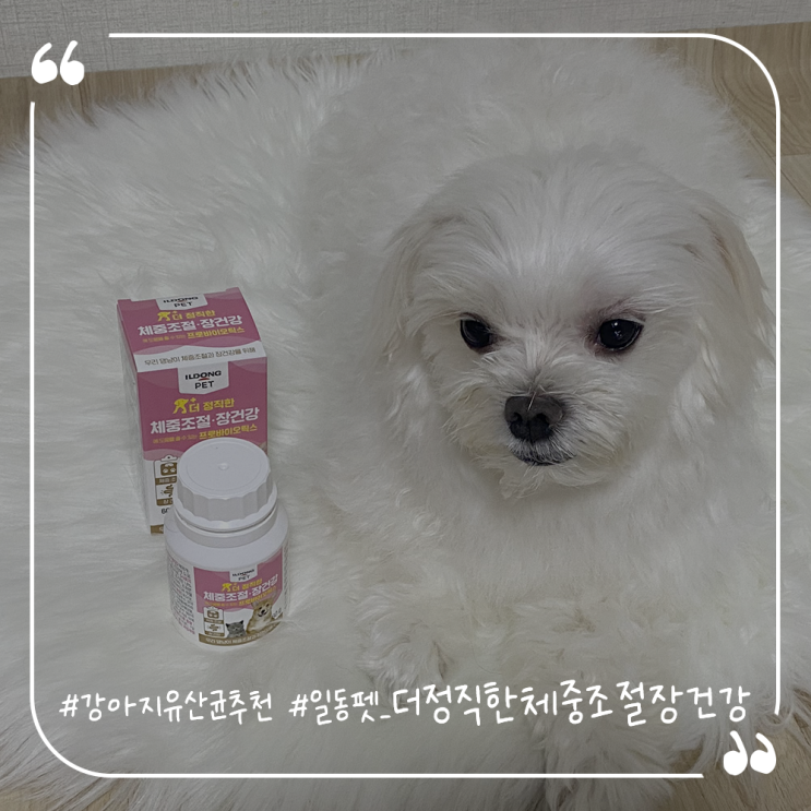  강아지유산균추천 강아지다이어트방법 일동펫 더정직한체중조절장건강