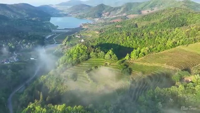  수산양식산업기사 자격요건 독학으로 5개월 만에 끝낸 전략