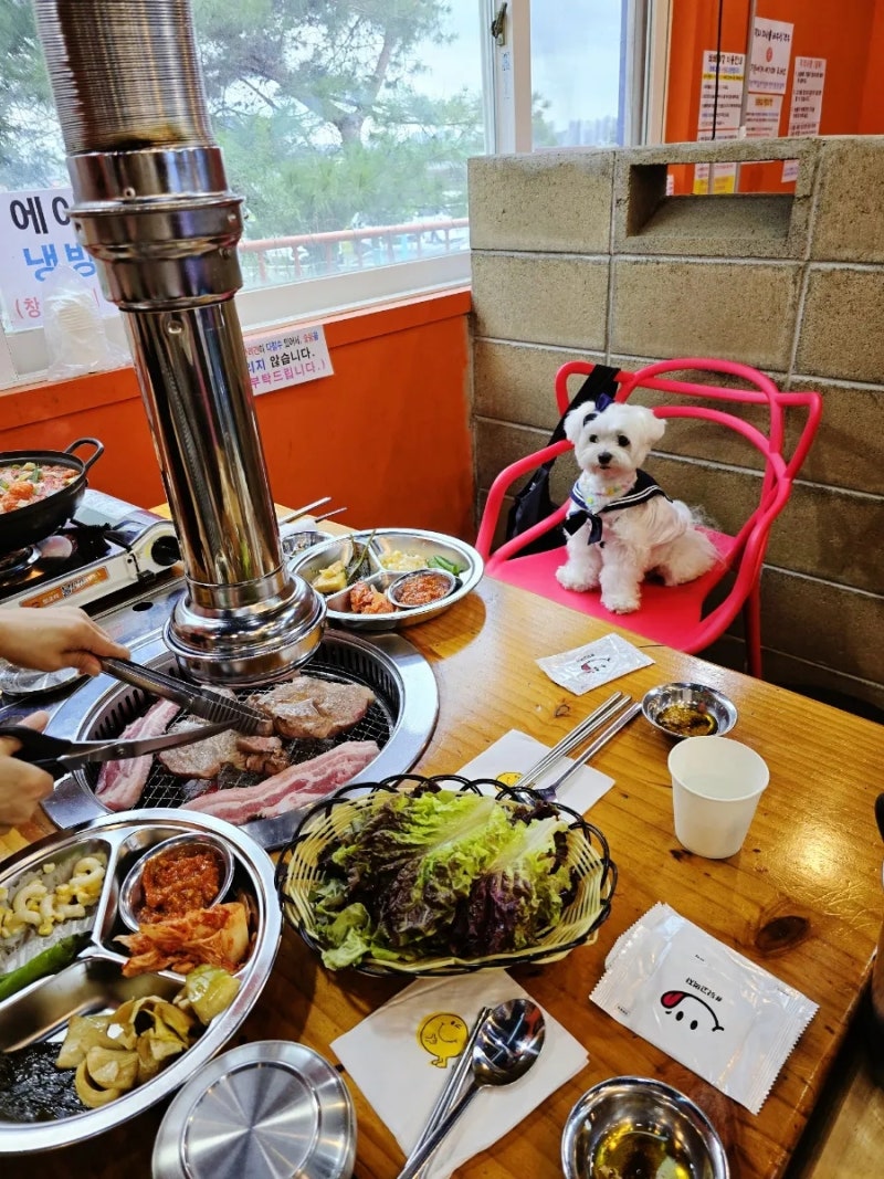 사진 4