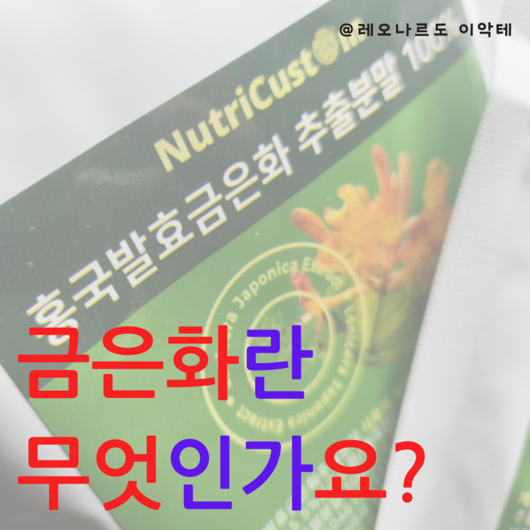  위 건강을 위한 최고의 선택 홍국발효 금은화 추출분말의 효능과 사용법