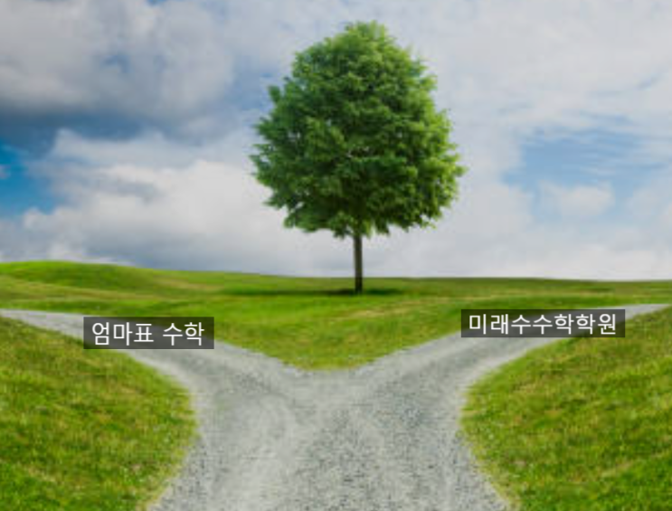  서연초,이솔초 1학년 어떤 수학학원이 좋을까요?