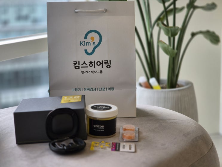  노인보청기 가격 예산 계획 정리본
