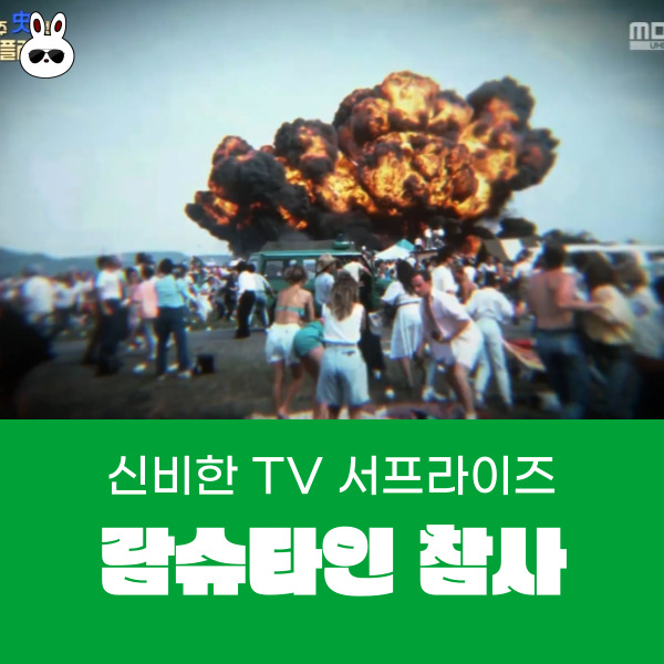  서프라이즈 에어쇼 람슈타인 참사 사고인가?살인인가?