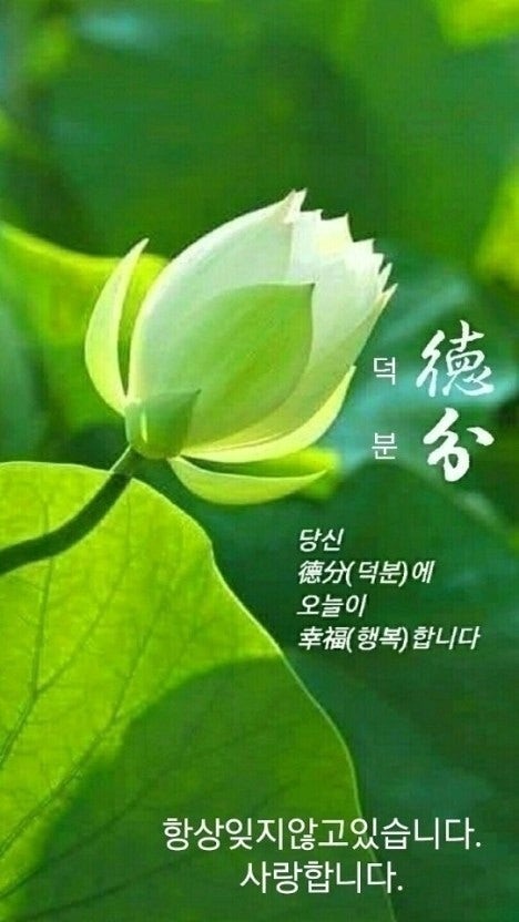 여름 아침인사글 이미지 그림 사진 모음 : 네이버 블로그