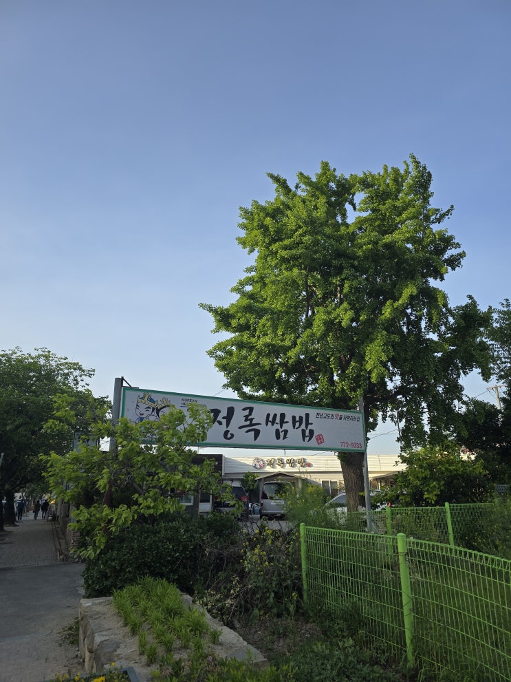  [2024 경주여행] 경주 대릉원 옆 푸짐한 쌈밥 맛집 정록쌈밥