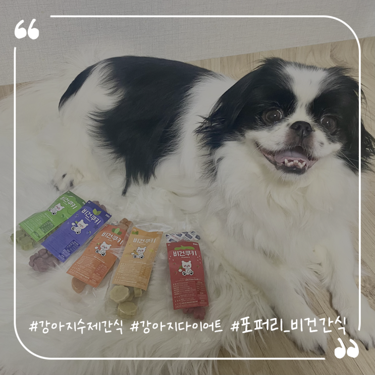  강아지수제간식추천 강아지다이어트간식 포퍼리 강아지비건간식