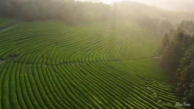  사회복지학점은행 ~ 사회복지사 경력없어도 온라인 과정으로 수월하게