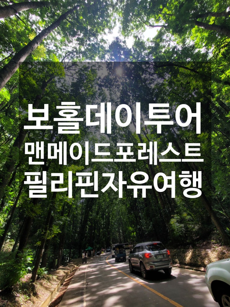  필리핀 보홀 사진 찍기 좋은 곳 인생샷 맨 메이드 포레스트