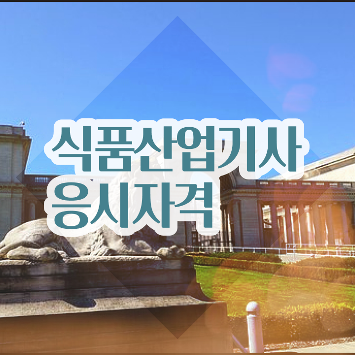  식품산업기사 자격증 식품산업기사 시험자격 온라인 과정으로 1학기에 준비한 방법