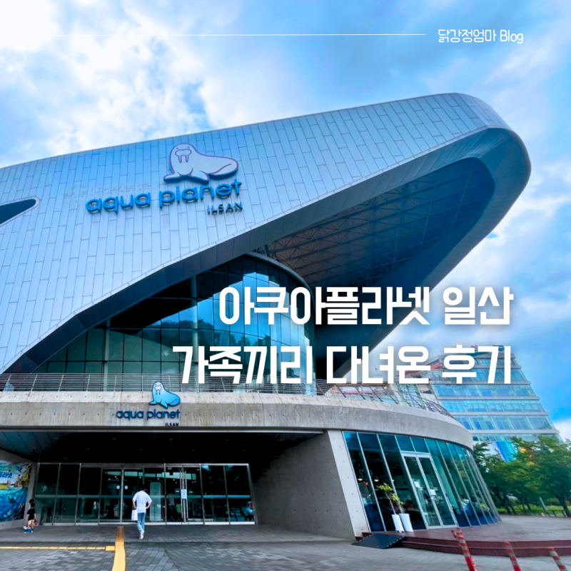 실내아이랑갈만한곳 '일산아쿠아플래닛' 할인 푸드코트 정보