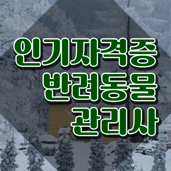  반려동물식품관리사 , 반려동물관리사 자격증 온라인으로 취득했던 후기 총 정리