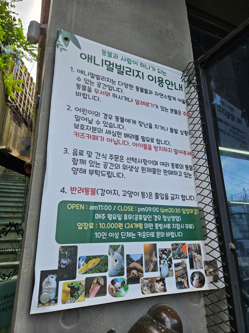 우에노 동물원 - 볼거리, 교통 및 주변 정보 | GOOD LUCK TRIP, image size:800x1067