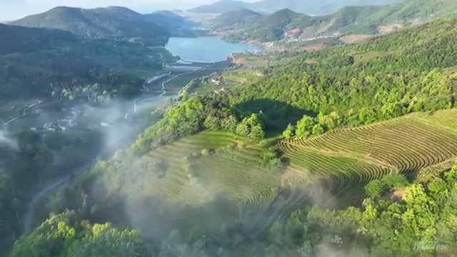  용산구 이태원 화장실 변기막힘 100% 성공 보장 팁