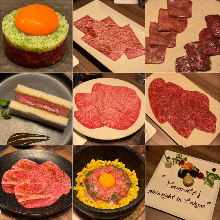  도쿄 야키니쿠 우시고로 긴자 현지인 맛집 예약