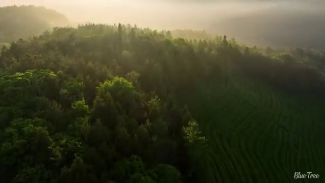  통신사 변경 , 계획은 공식인증 대리점 에 직접 물어보세요.
