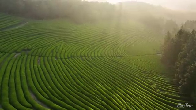  성남 사회복지사급여 , 사회복지사2급 고졸자도 학점은행제로 간편하게