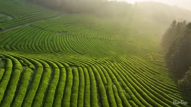  상가리모델링 알아보는 중이라면 ? 전문디자이너 에게 직접 물어보세요. (무료 서비스)