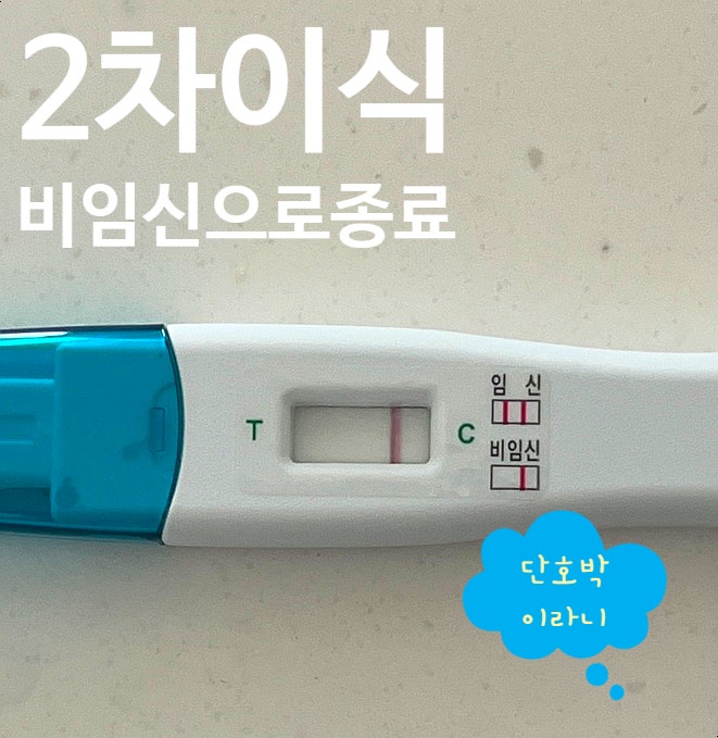  미라클 여성의원 2차 이식 피검사 결과 비임신으로 종료
