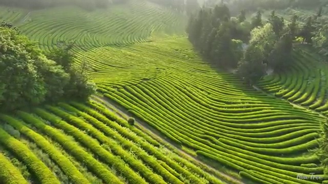  시각디자인기사 필기 시각디자인기사 시험응시자격 온라인 수업으로 반 년만에 완료한 전략