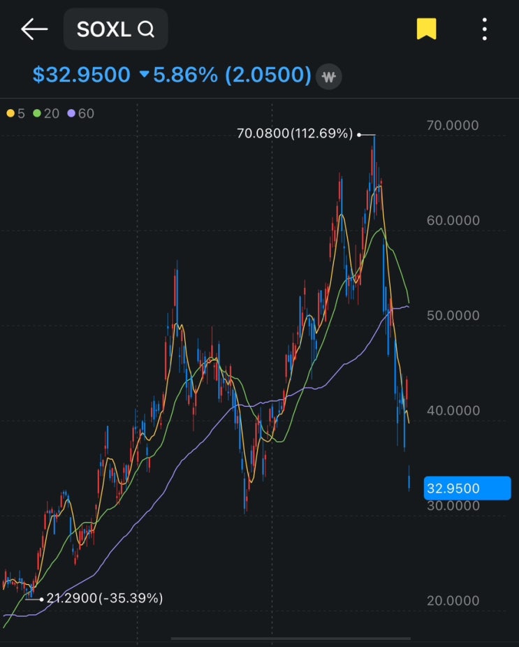 휴가 기간 동안 녹아버린 계좌 soxl