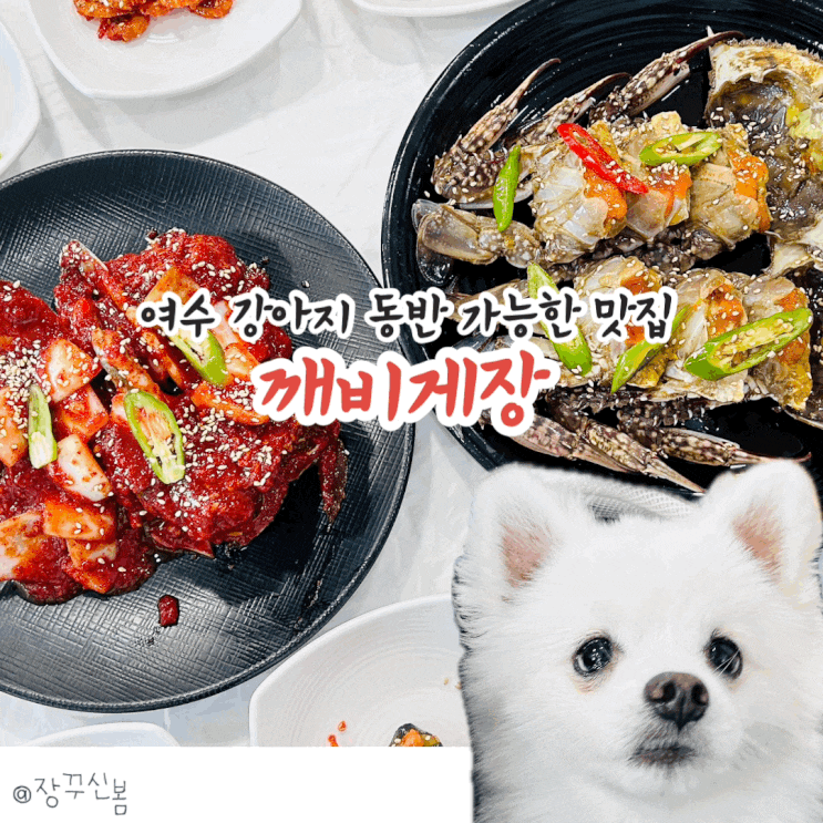 여수 강아지 동반 게장 맛집 여수깨비게장 내돈내산 후기 | 주차장, 가격 등 여수 강아지 동반 게장 맛집 여수깨비게장 내돈내산 후기 | 주차장, 가격 등