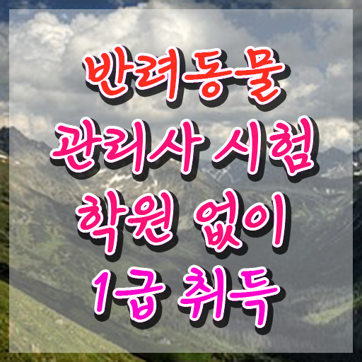  반려견 학원 , 반려동물관리사 자격증 취득한 과정 여기서 확인하세요
