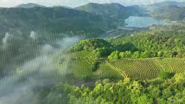  정보처리산업기사 필기합격률 정보처리산업기사 응시조건 학점은행제로 4달 안에 준비한 방법