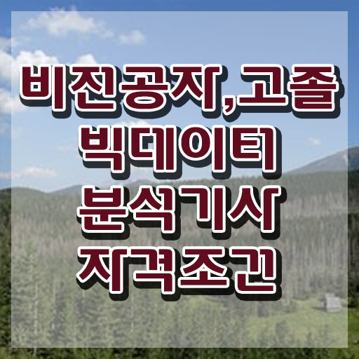  빅데이터분석기사 필기 후기 빅데이터분석기사 응시조건 독학으로 간단하게 끝낸 노하우