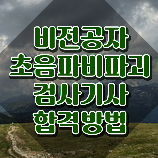  초음파비파괴검사기사 필기과목 초음파비파괴검사기사 시험응시조건 인강으로 4달만에 성공한 전략
