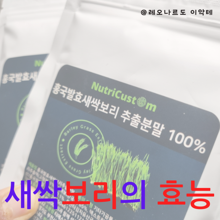  홍국발효 새싹보리 추출분말의 효능과 섭취 방법 건강을 지키는 비밀