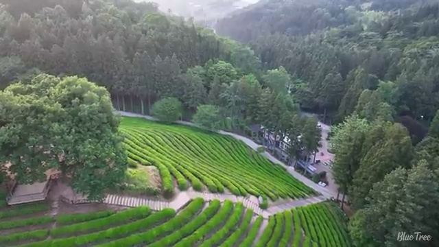  문경 사회복지사2급 직장인도 인강 듣고 손쉽게