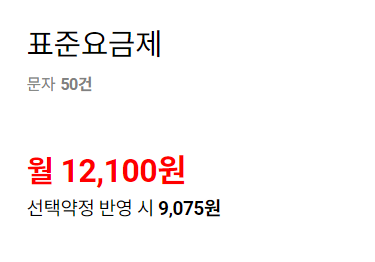 세계여행 준비 - 알뜰폰? ㄴㄴㄴskt 표준요금제 ㄱㄱ