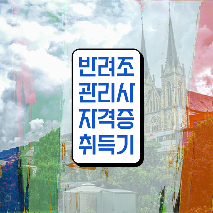  사랑 앵무새 키우기 , 반려조관리사 자격증 15일 만에 학습한 후기 및 이후 전망
