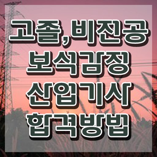  보석감정산업기사 보석감정산업기사 시험자격 집에서 온라인으로 4달 안에 끝낸 비법