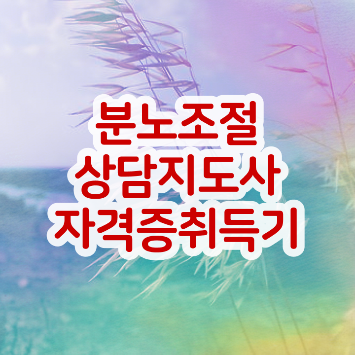  40대주부자격증 , 분노조절상담지도사 동영상 과정으로 빠르게 준비하는 비법
